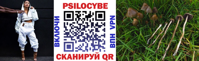 Галлюциногенные грибы Cubensis Чкаловск