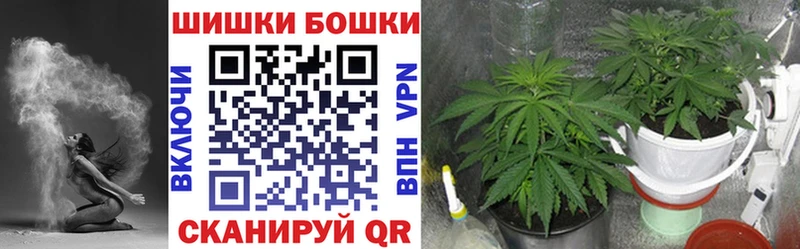 магазин    Чкаловск  Шишки марихуана MAZAR 